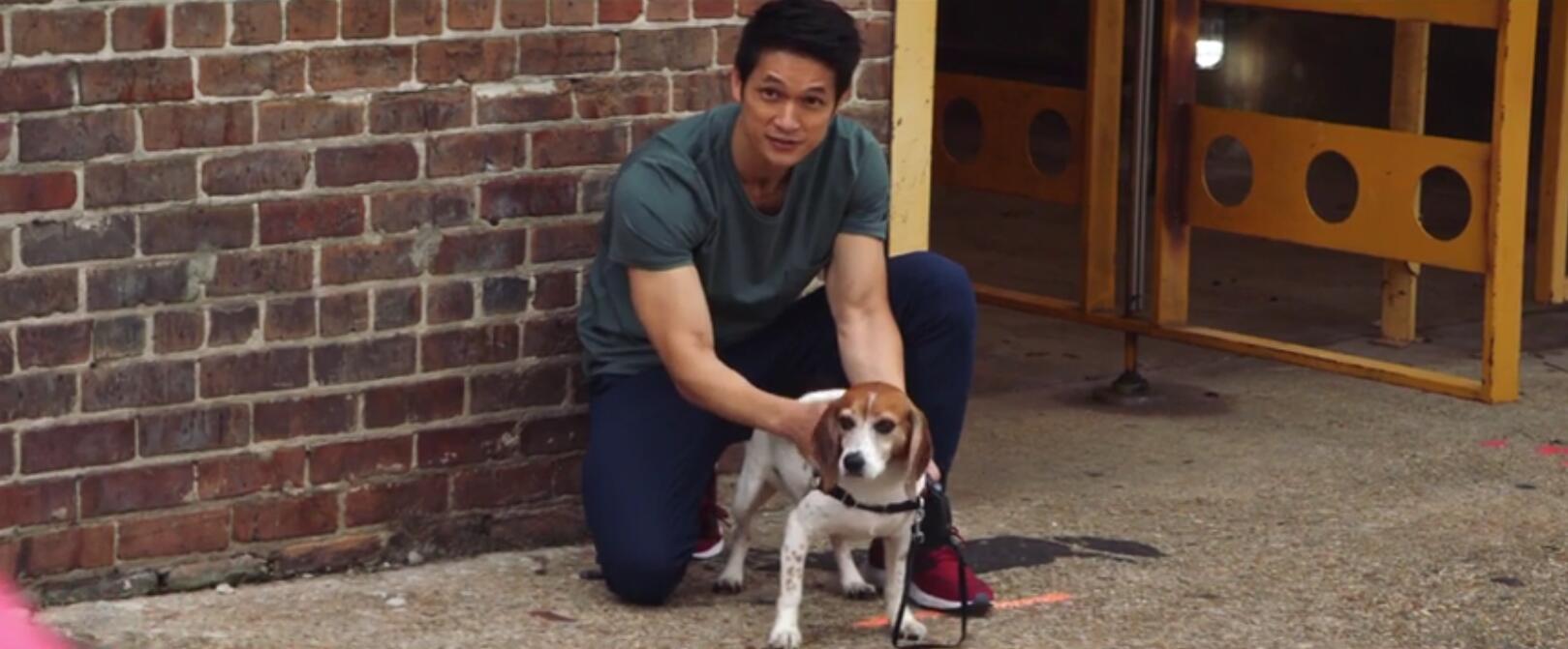 我的一生剧照的剧照