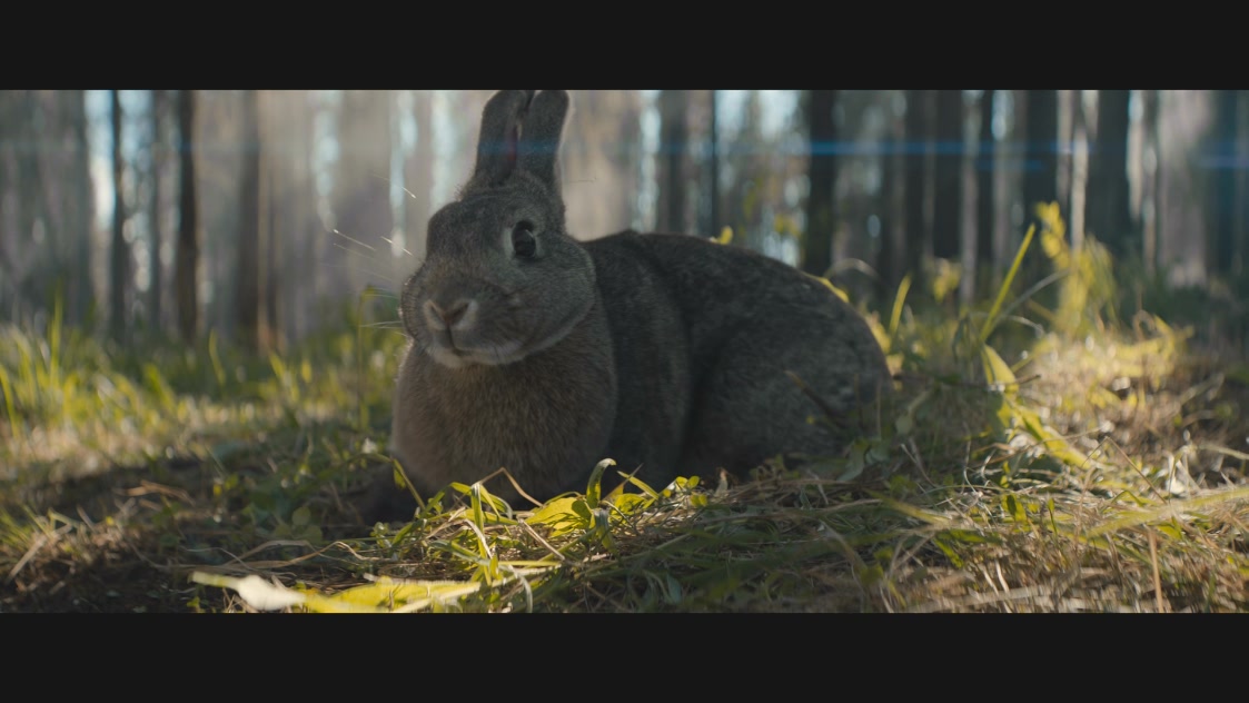 未命名【铁血战士】相关电影剧照的剧照