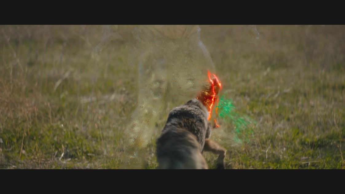 未命名【铁血战士】相关电影剧照的剧照