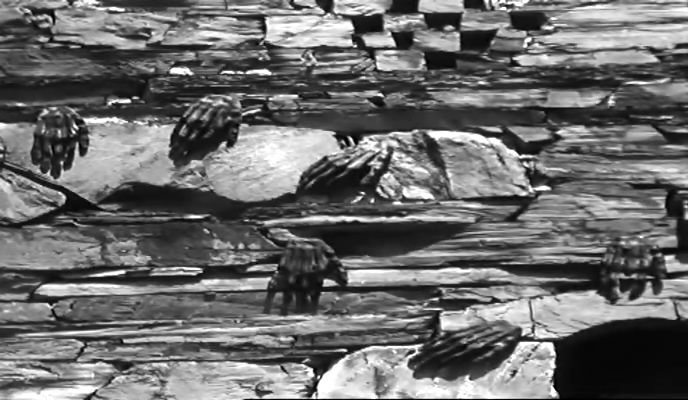 祈祷剧照的剧照