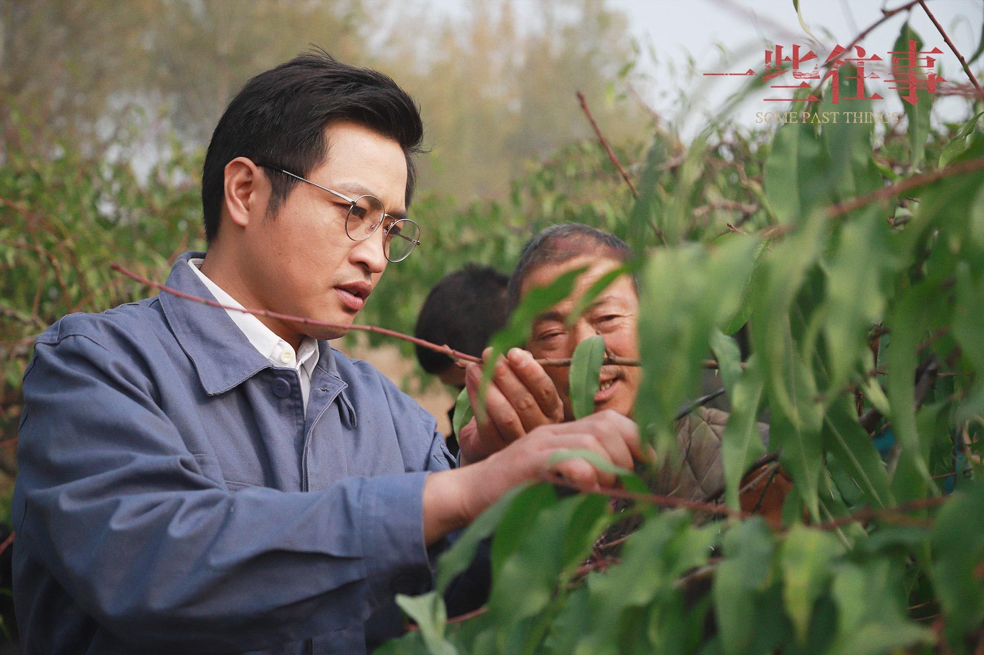 一些往事剧照的剧照