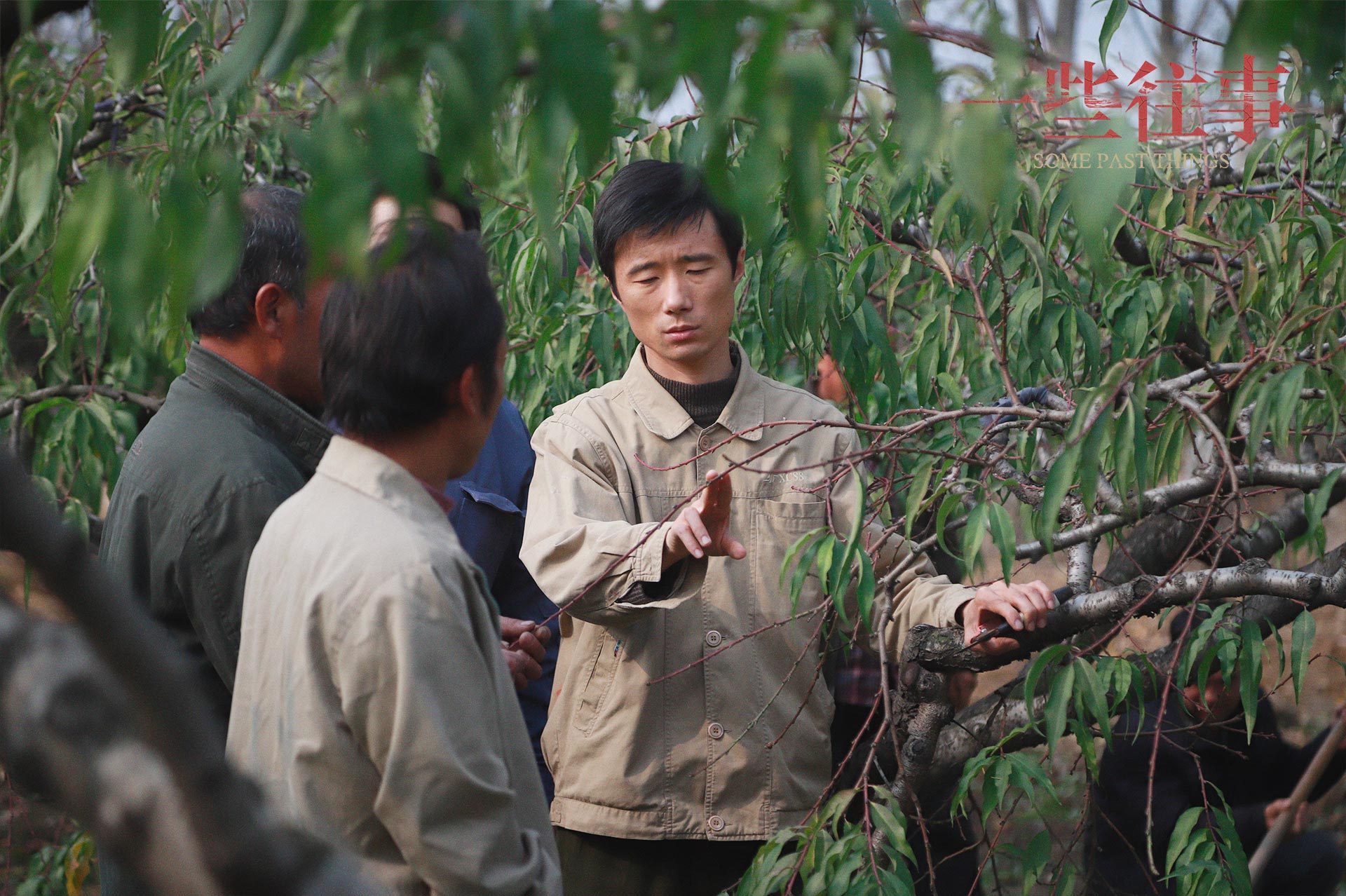 一些往事剧照的剧照