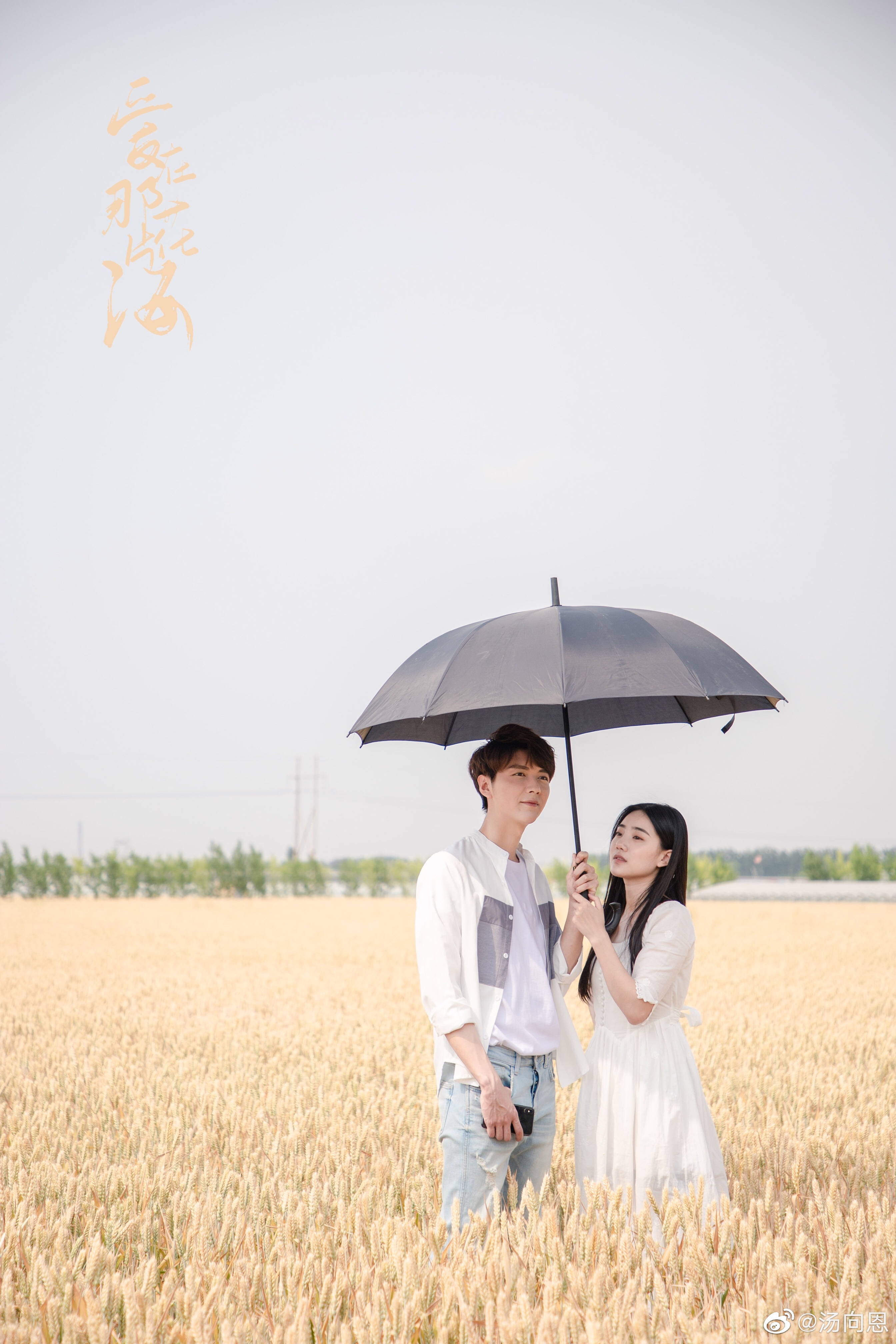 爱在那片花海剧照的剧照