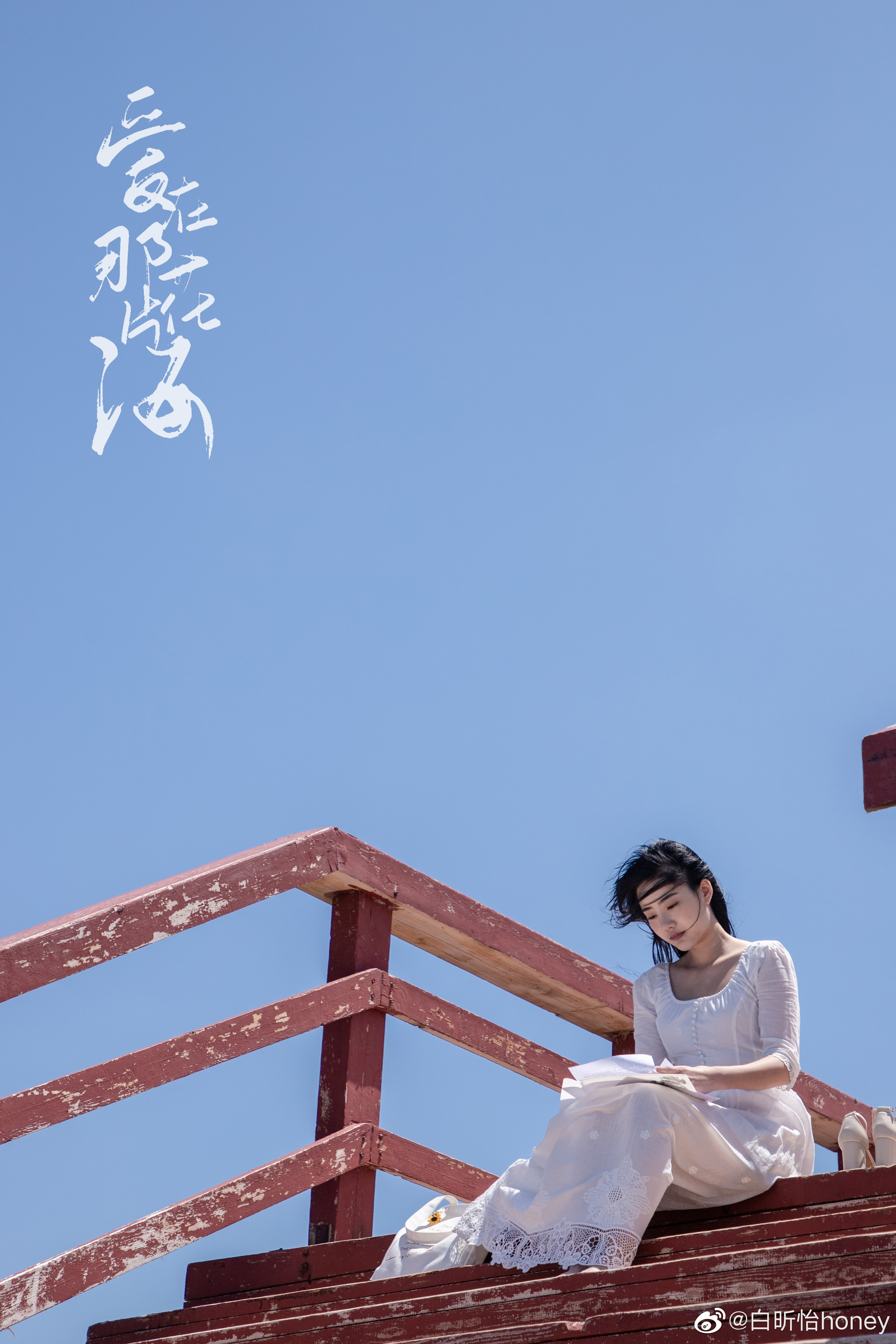 爱在那片花海剧照的剧照