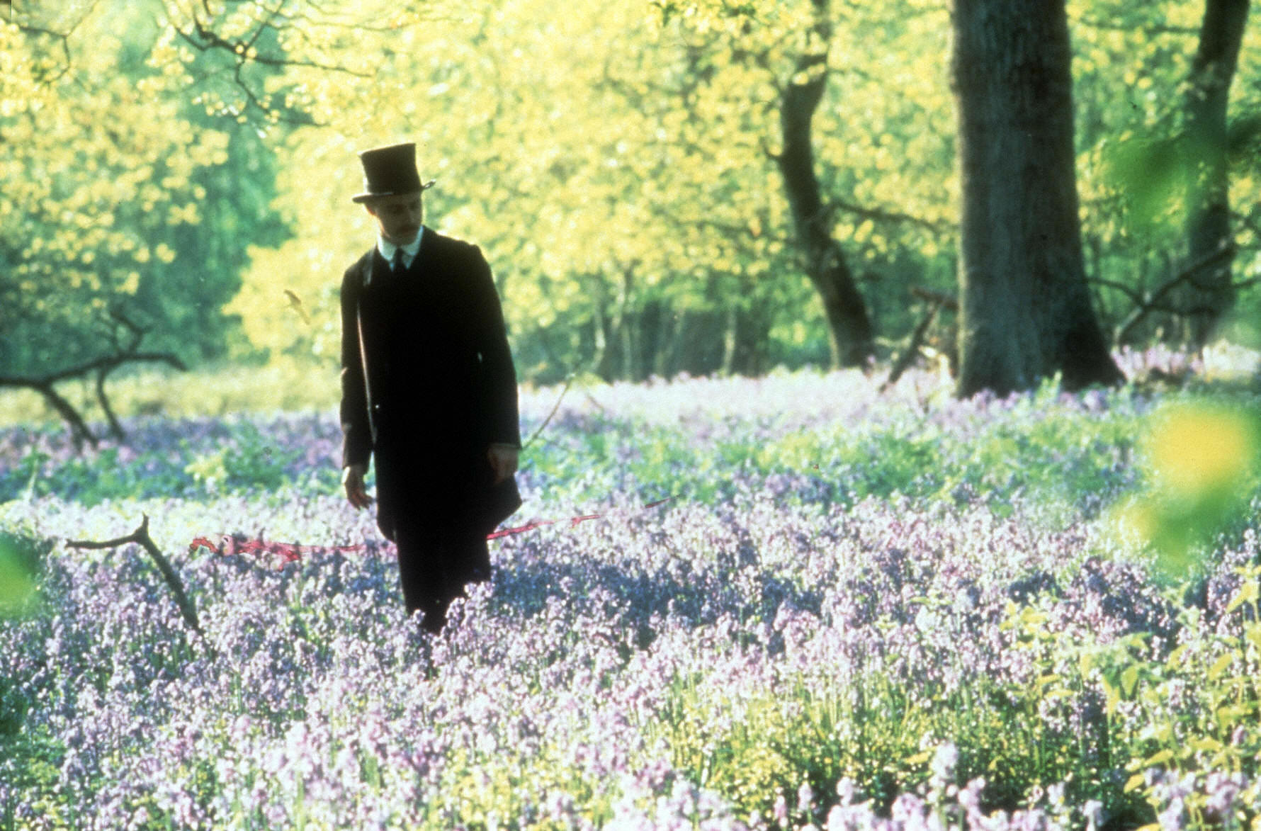 霍华德庄园剧照的剧照