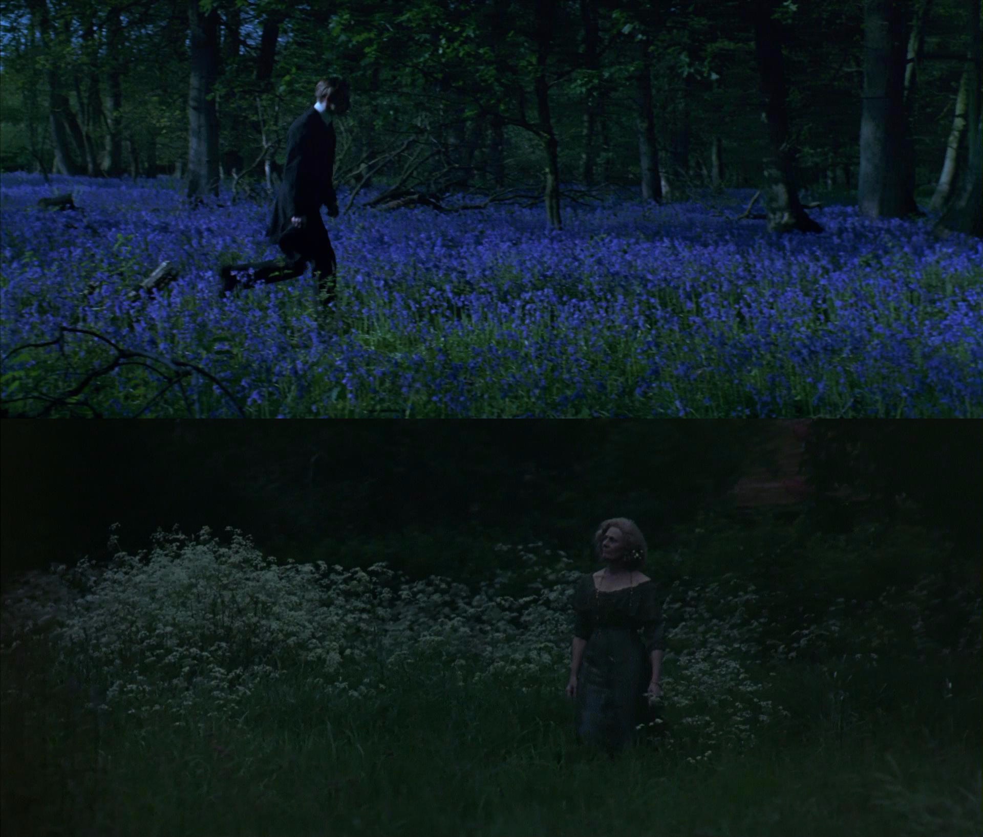 霍华德庄园剧照的剧照