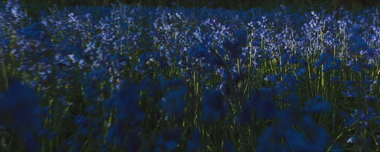 霍华德庄园剧照的剧照