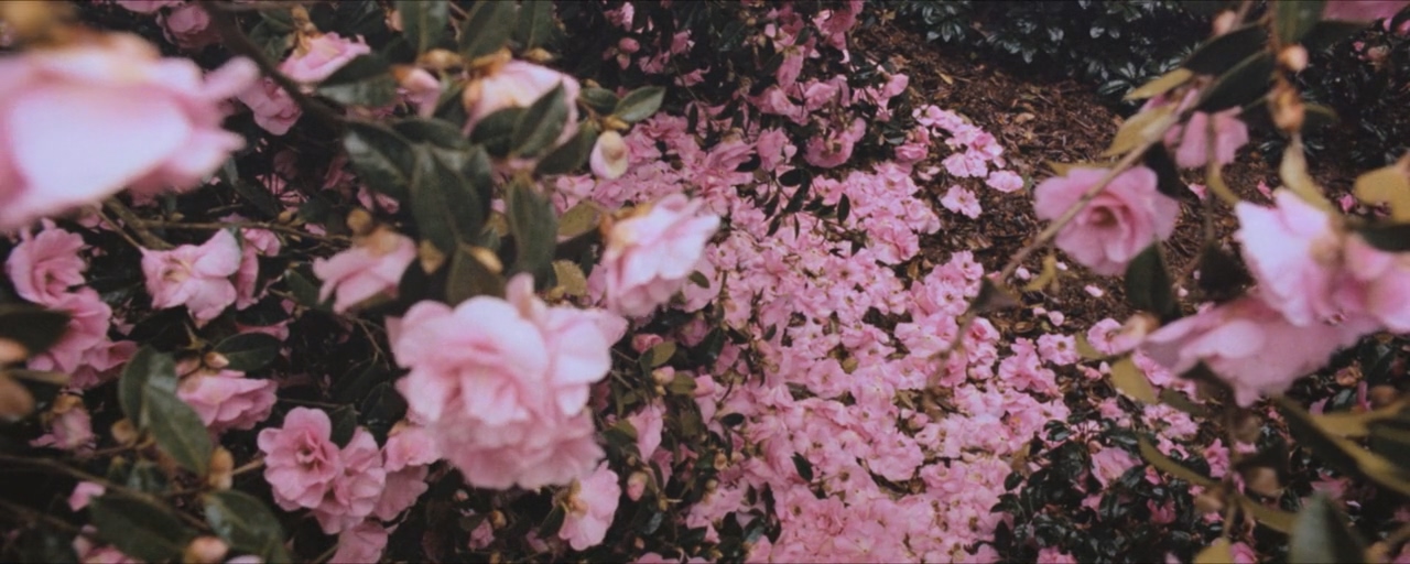 霍华德庄园剧照的剧照