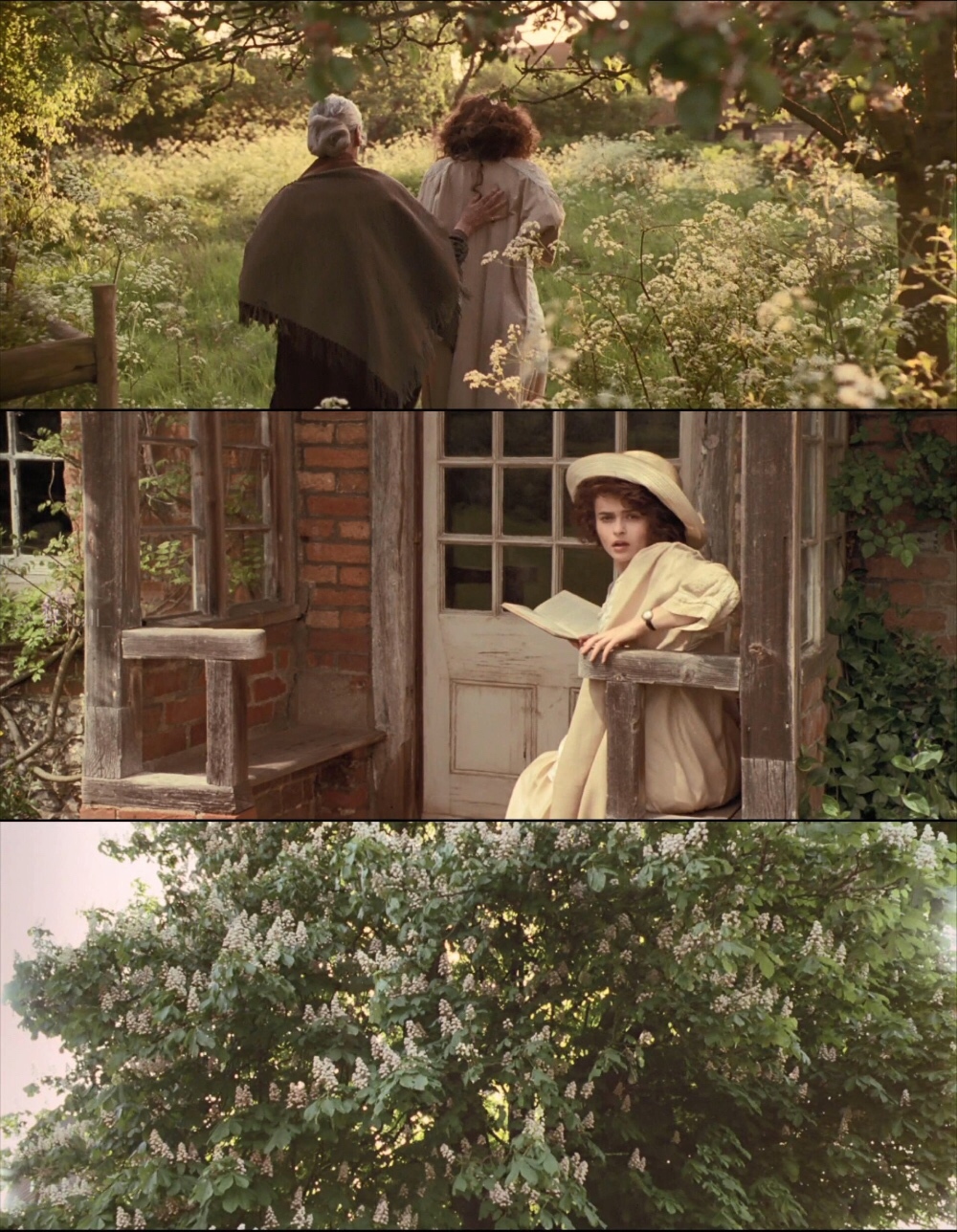 霍华德庄园剧照的剧照