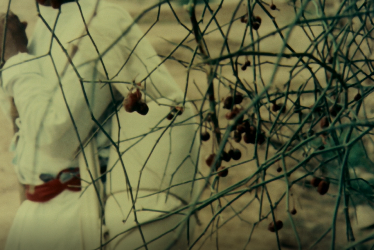 双重意识剧照的剧照