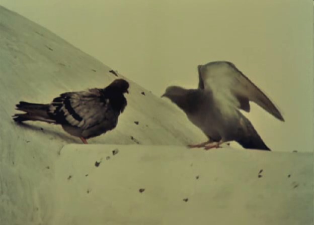 双重意识剧照的剧照