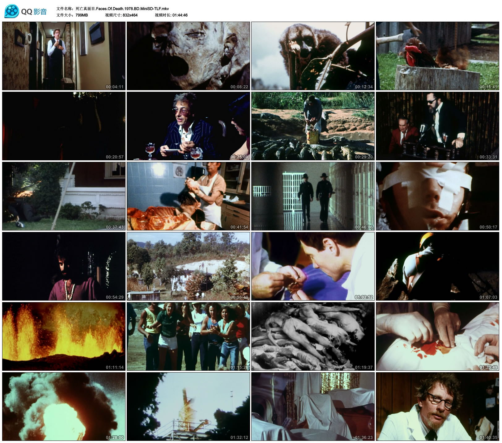 死亡真面目剧照的剧照