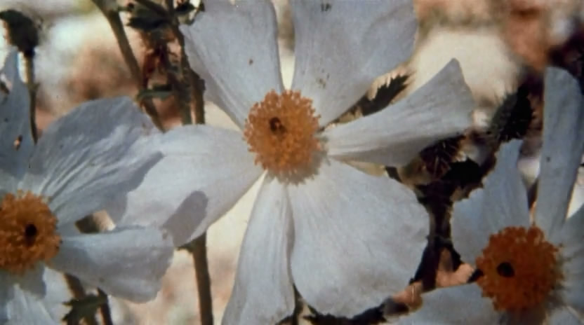 死亡真面目剧照的剧照