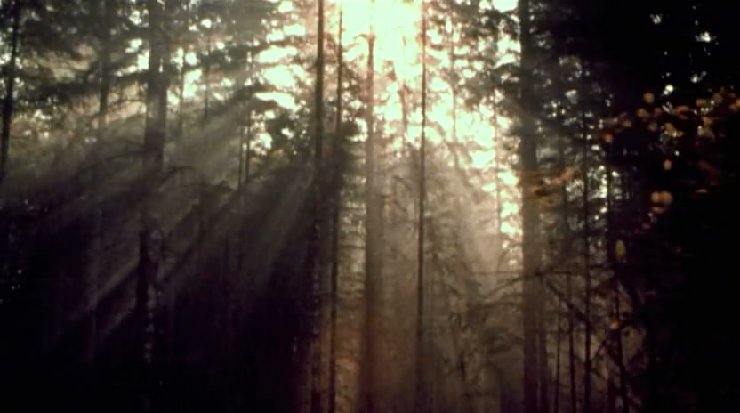 死亡真面目剧照的剧照