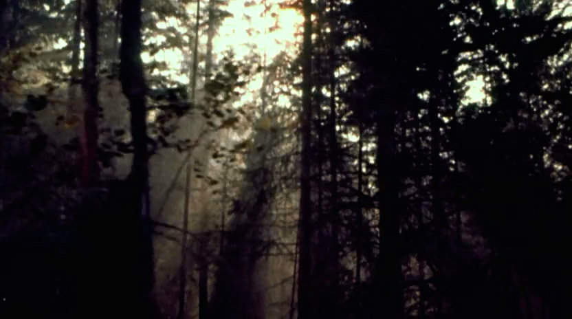 死亡真面目剧照的剧照