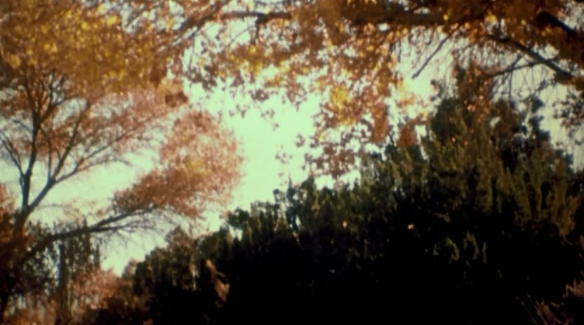 死亡真面目剧照的剧照