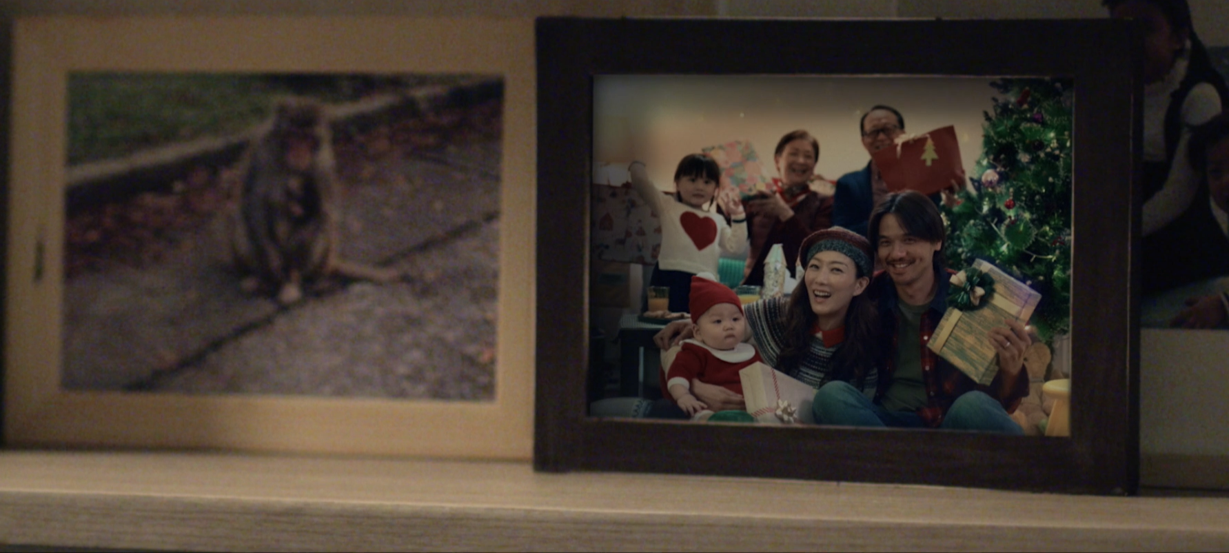 世间有她剧照的剧照