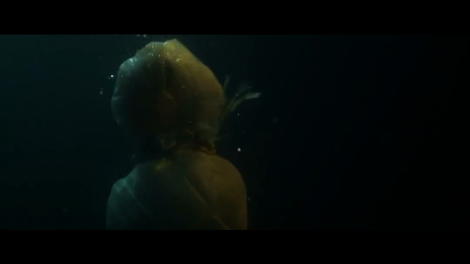 土狼湖剧照的剧照