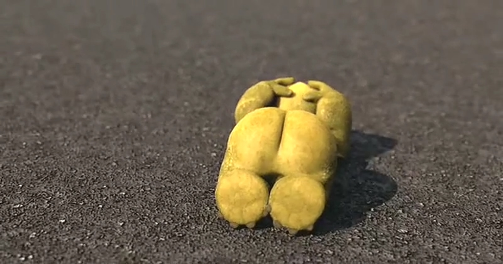 篱笆墙外剧照的剧照