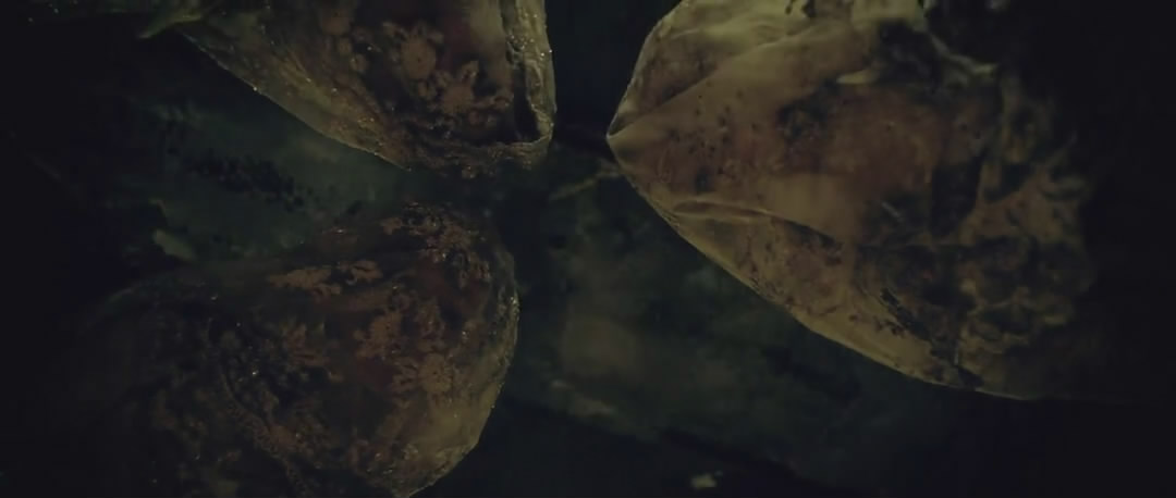 死色剧照的剧照