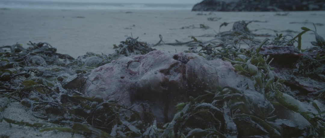 死色剧照的剧照