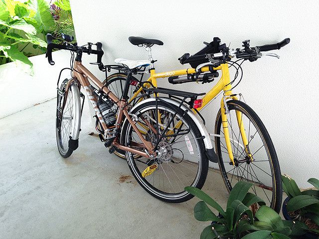 听不见的练习曲剧照的剧照