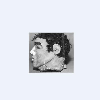 逃出亚卡拉剧照的剧照