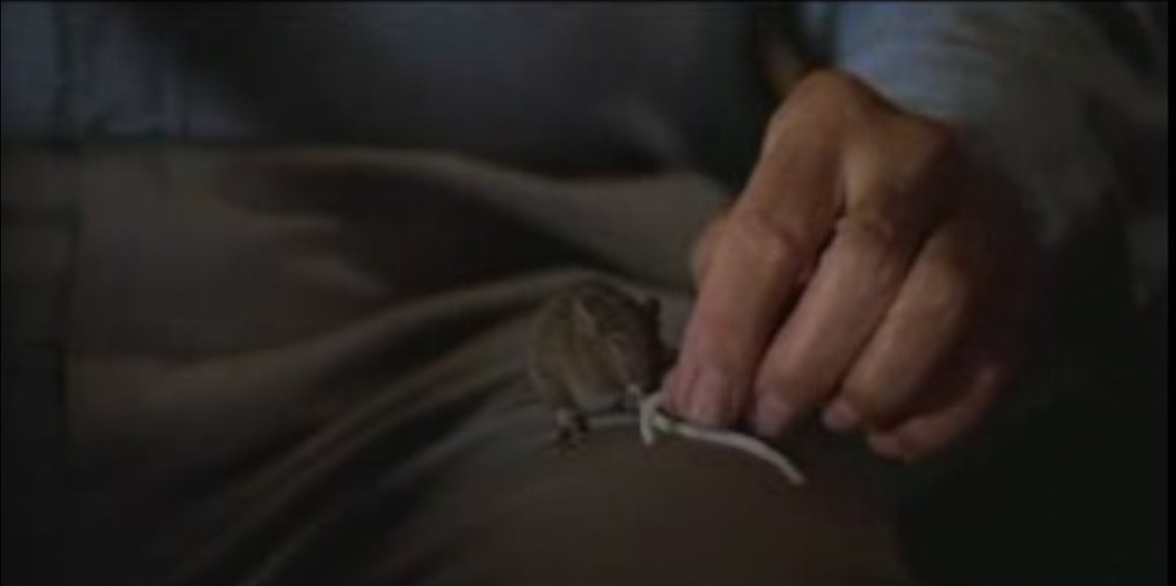 逃出亚卡拉剧照的剧照