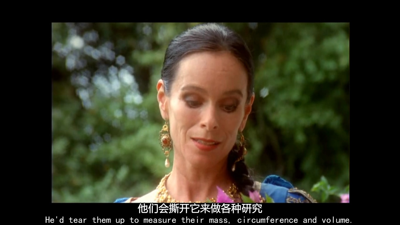 格列佛游记剧照的剧照