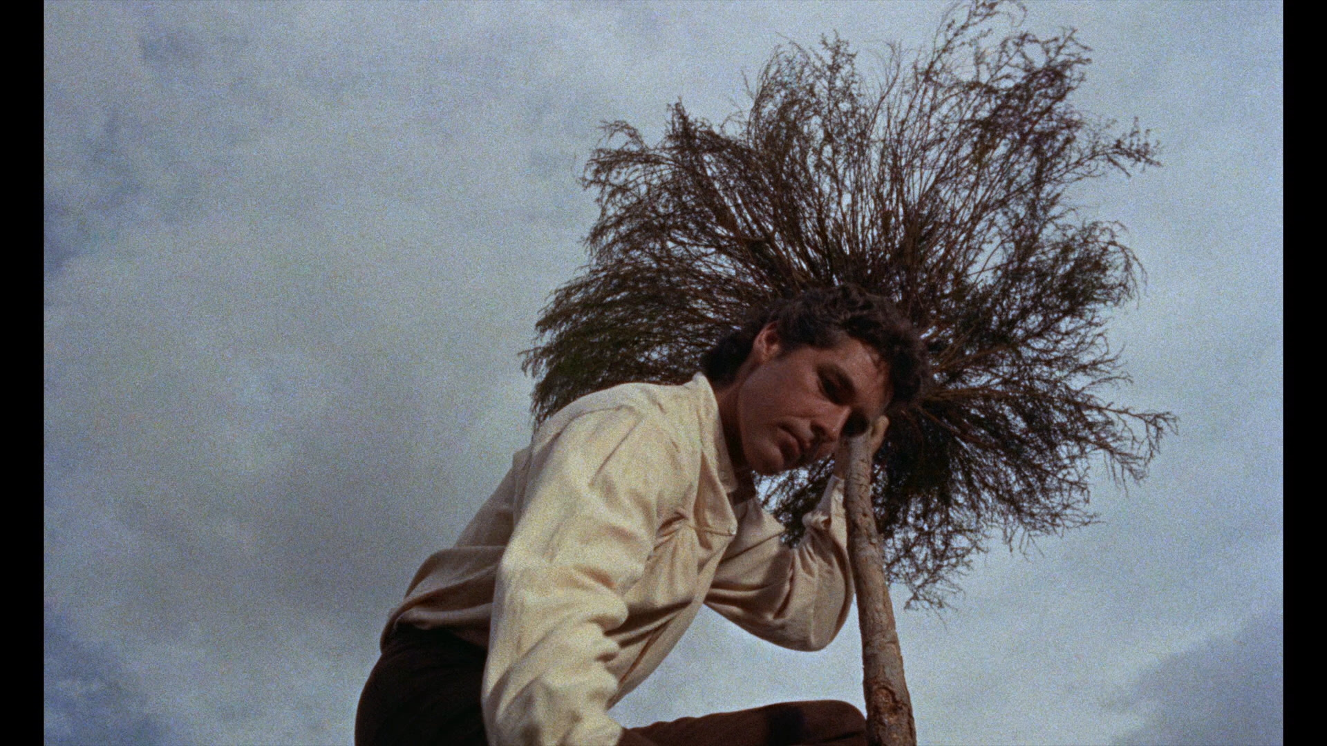 格列佛游记剧照的剧照