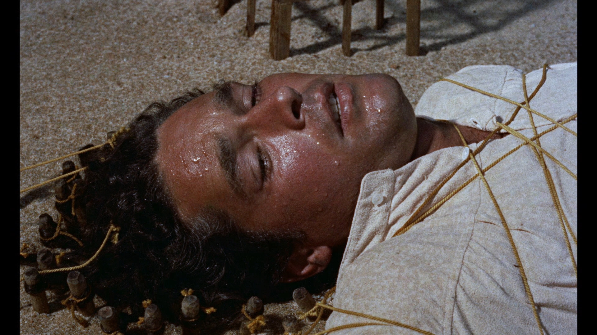 格列佛游记剧照的剧照