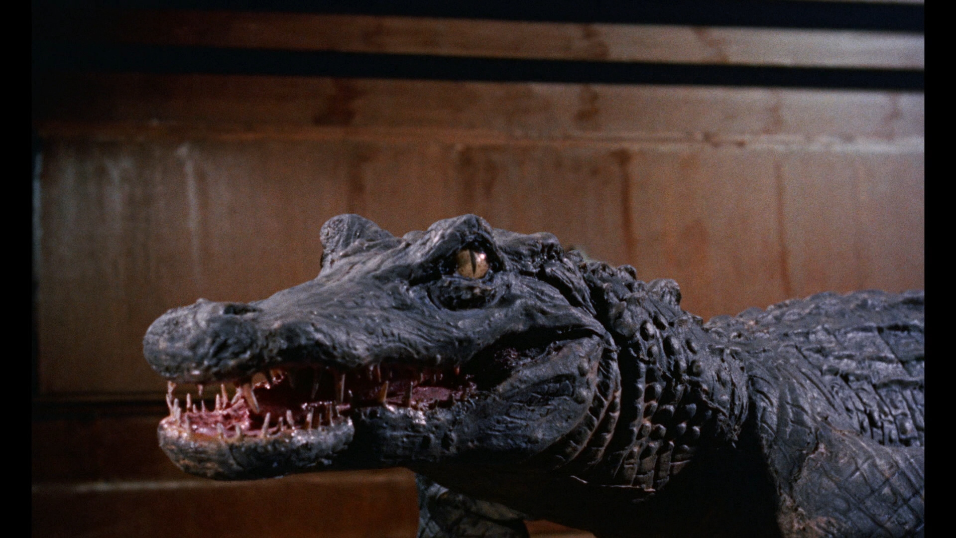 格列佛游记剧照的剧照