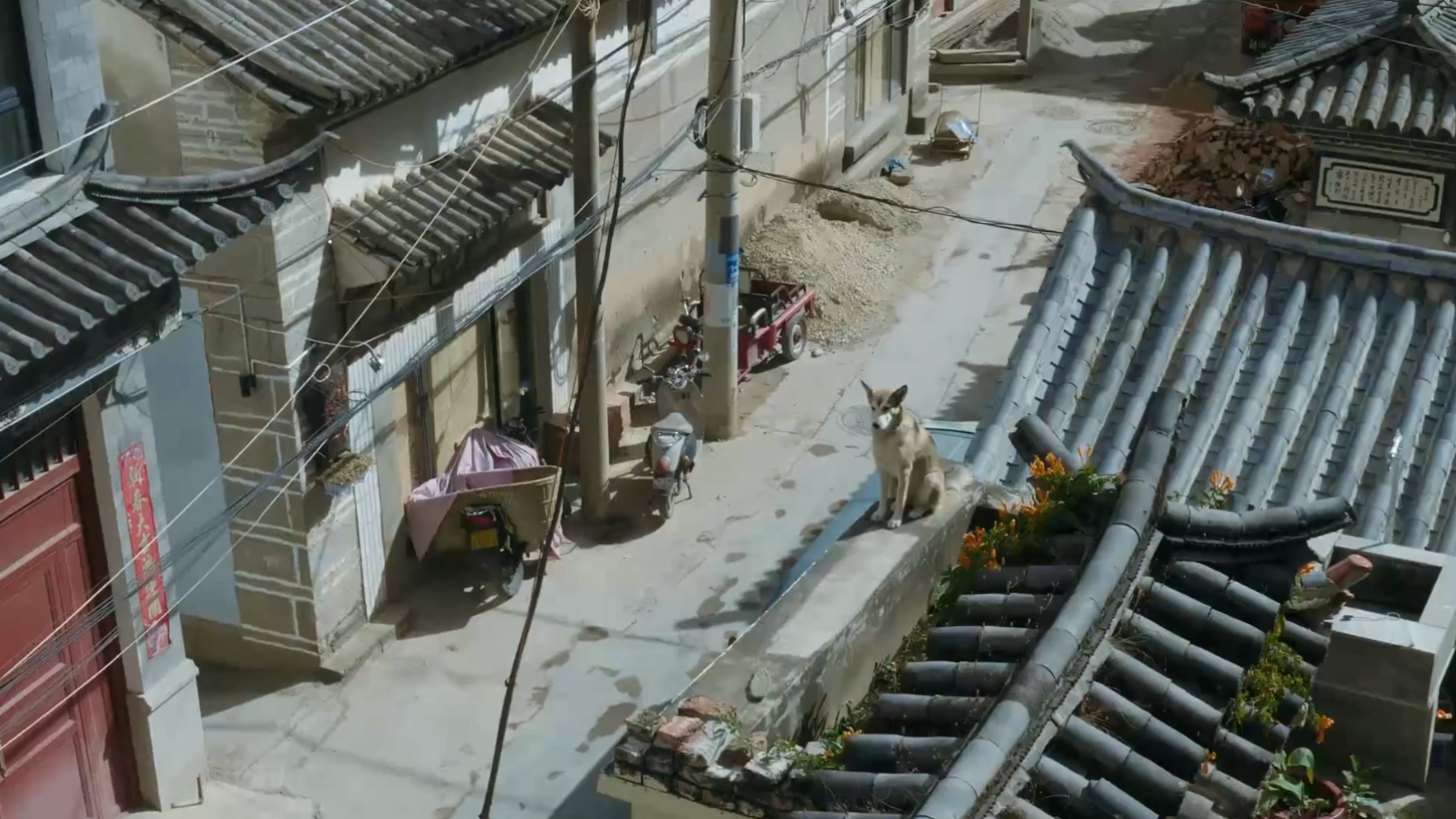 无码派对剧照的剧照