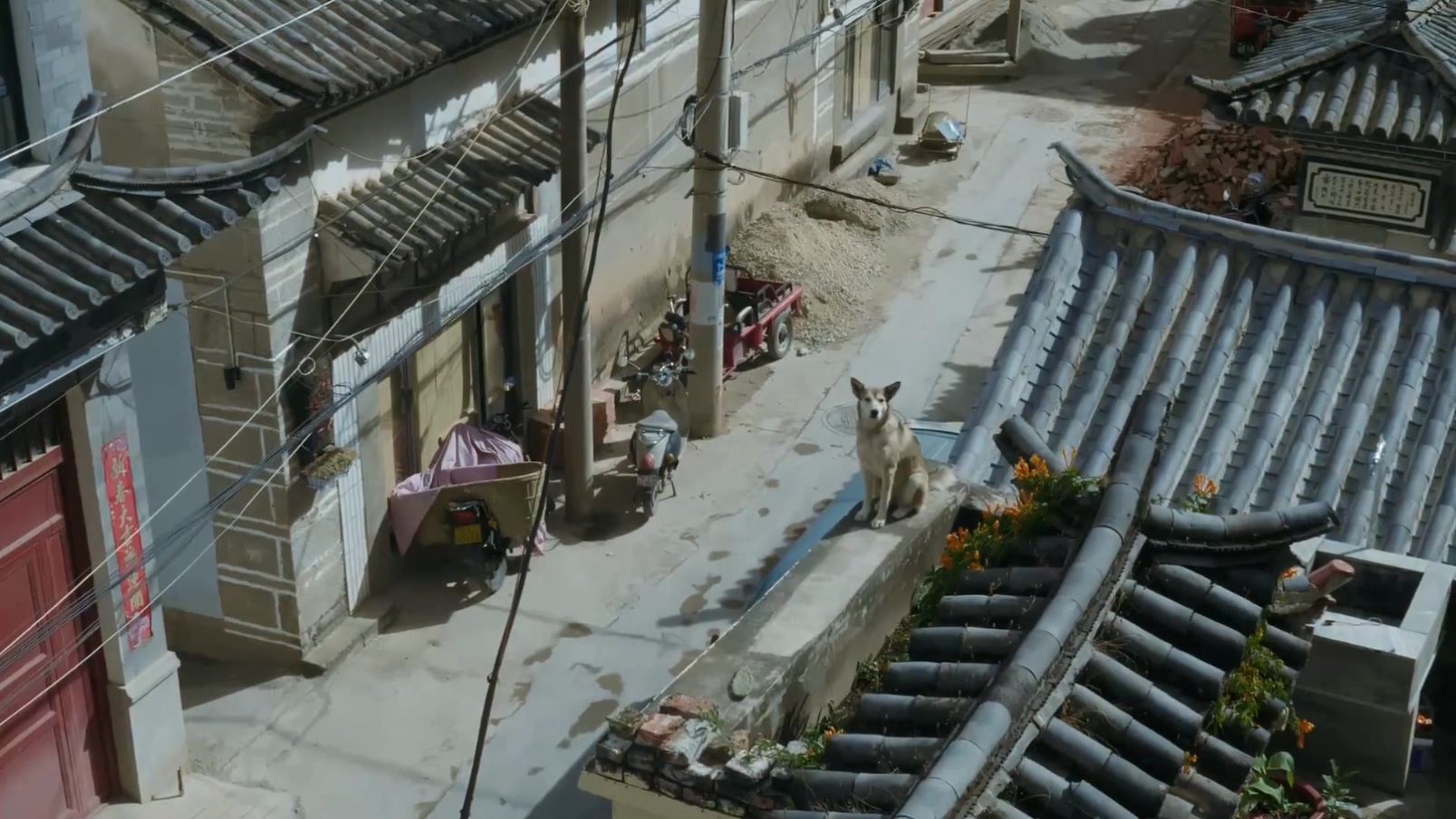 无码派对剧照的剧照