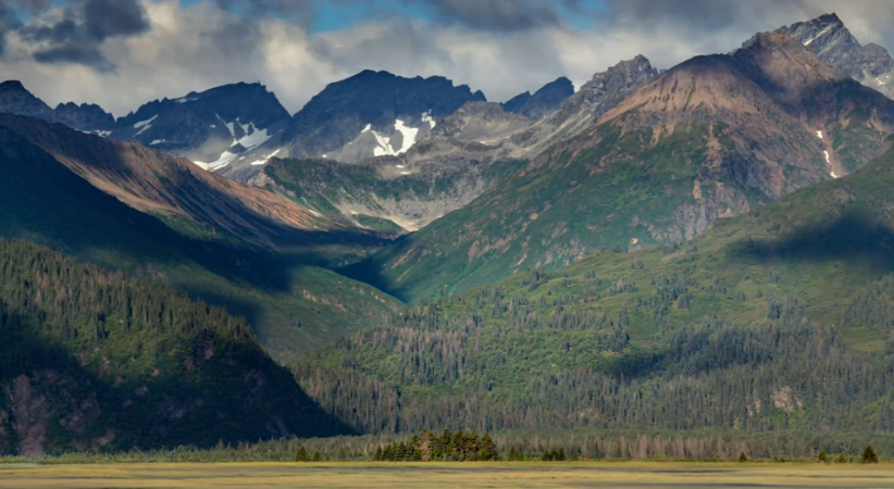 熊世界剧照的剧照