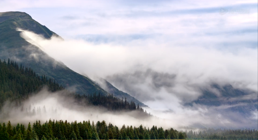 熊世界剧照的剧照