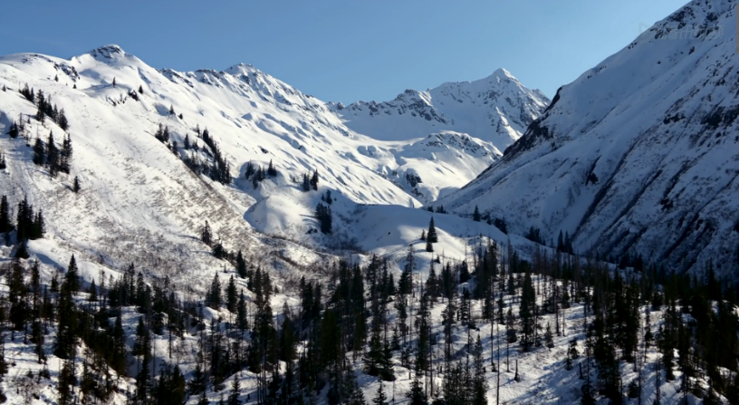 熊世界剧照的剧照