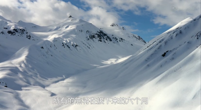 熊世界剧照的剧照