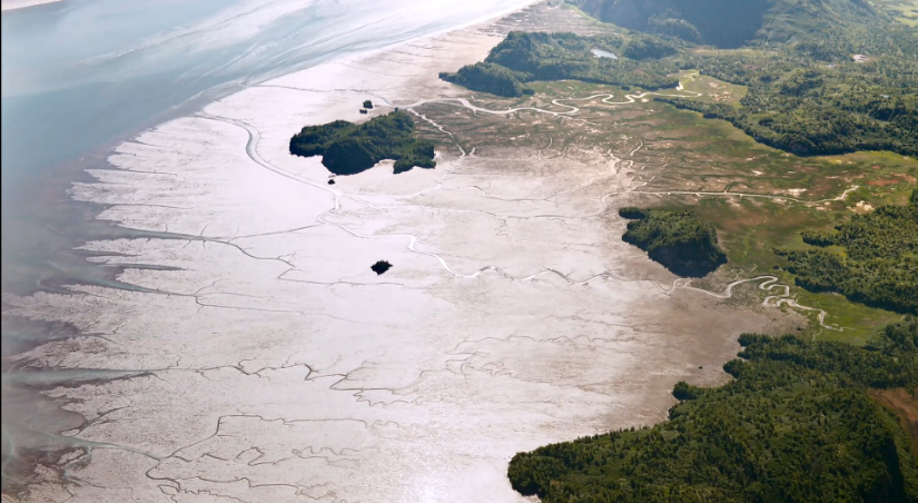 熊世界剧照的剧照