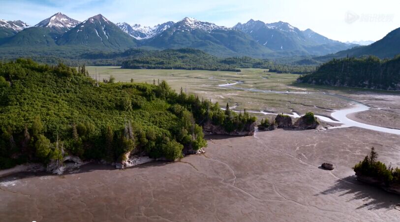 熊世界剧照的剧照