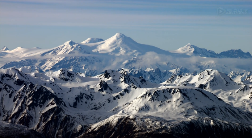 熊世界剧照的剧照