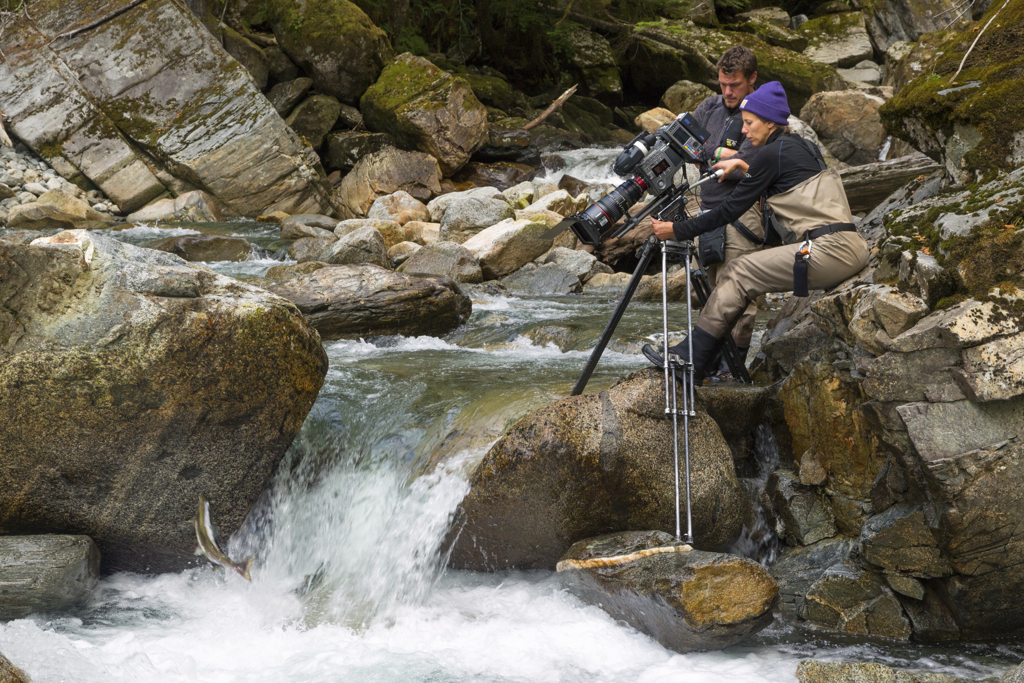 熊世界剧照的剧照