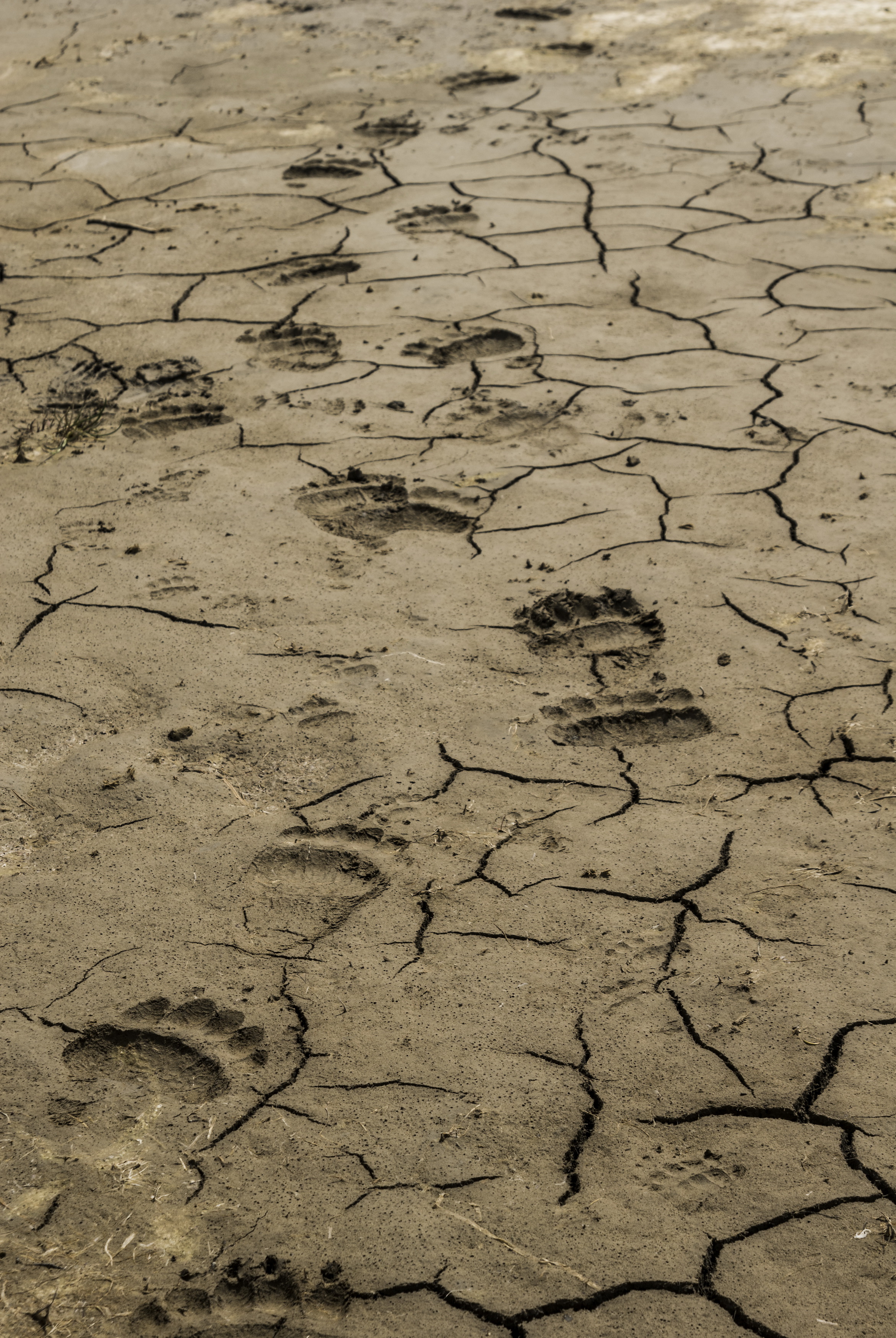 熊世界剧照的剧照