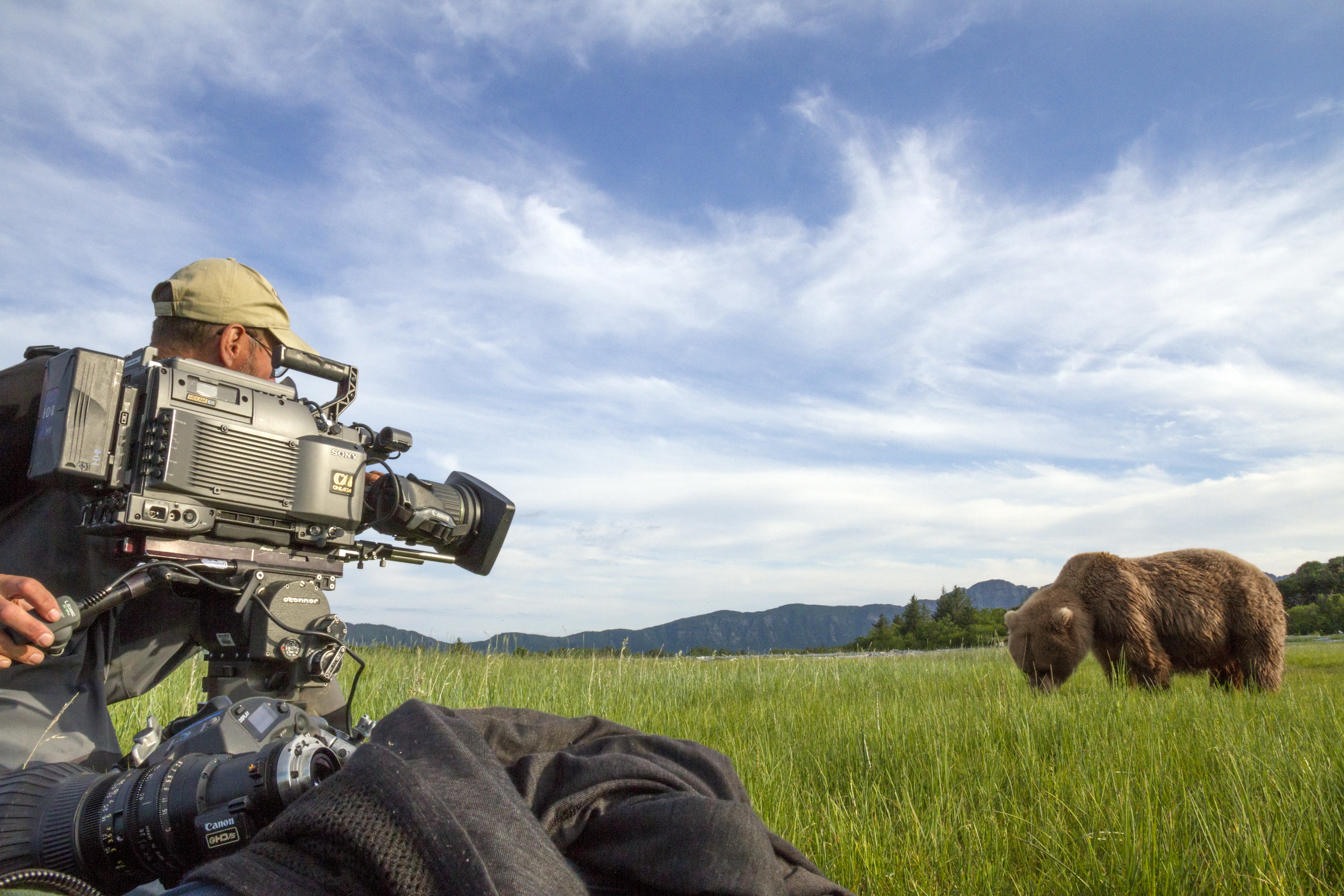 熊世界剧照的剧照