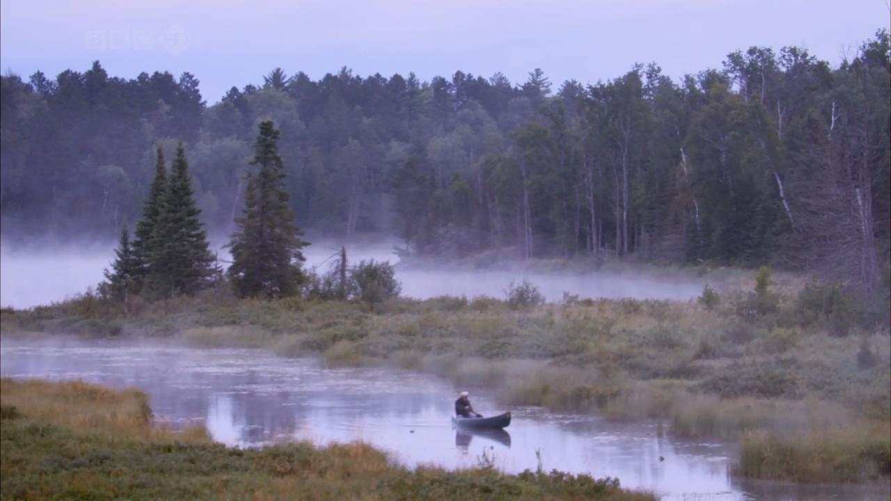 自然世界：北部森林的驭熊者剧照的剧照