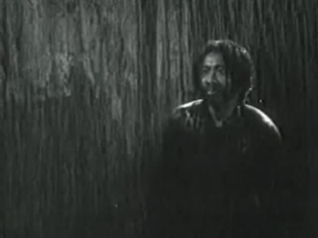 桃李劫剧照的剧照