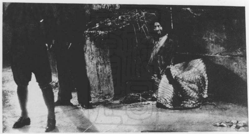 桃李劫剧照的剧照