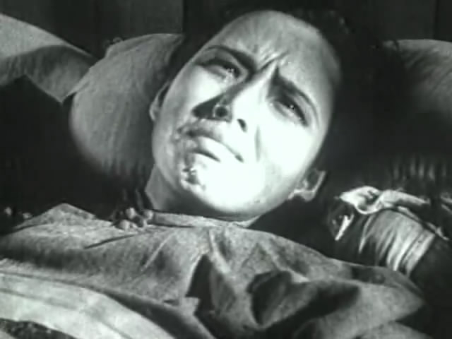 桃李劫剧照的剧照