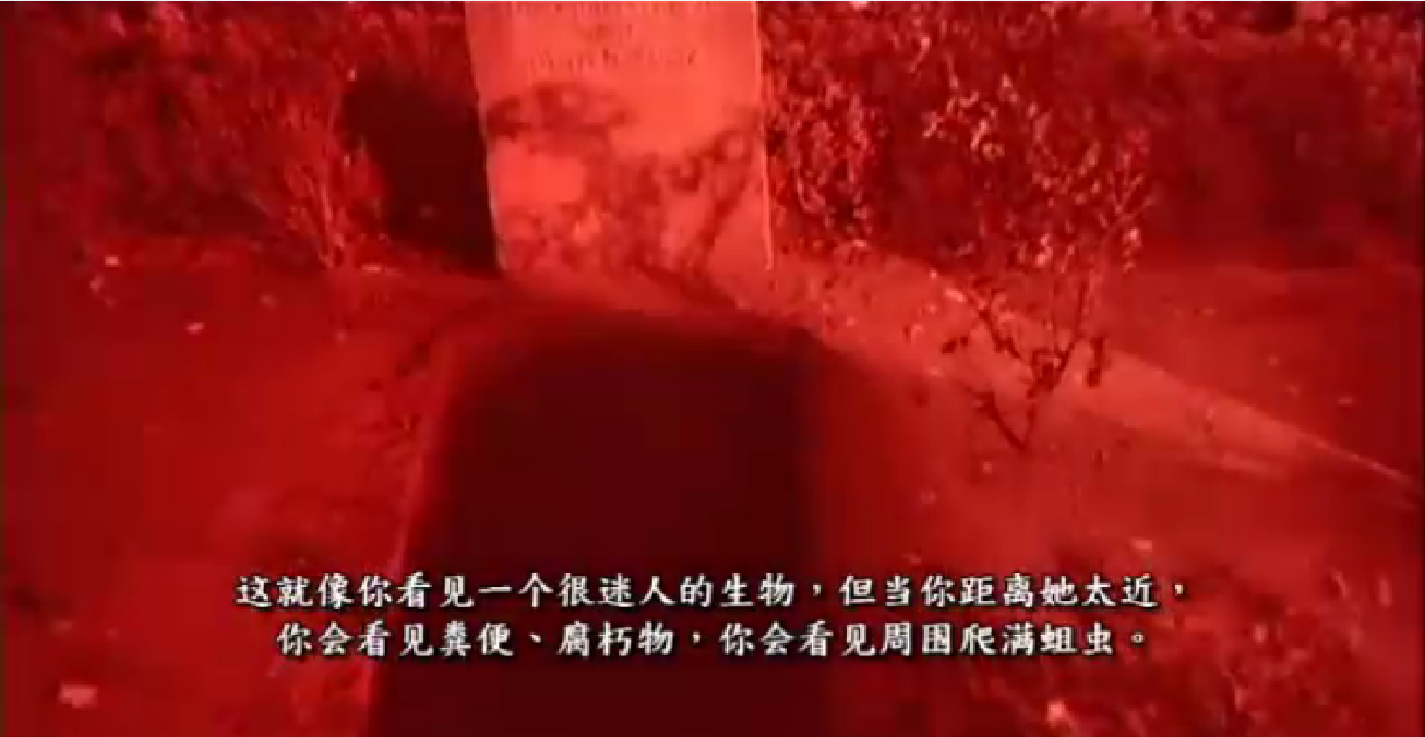 变态者电影指南剧照的剧照