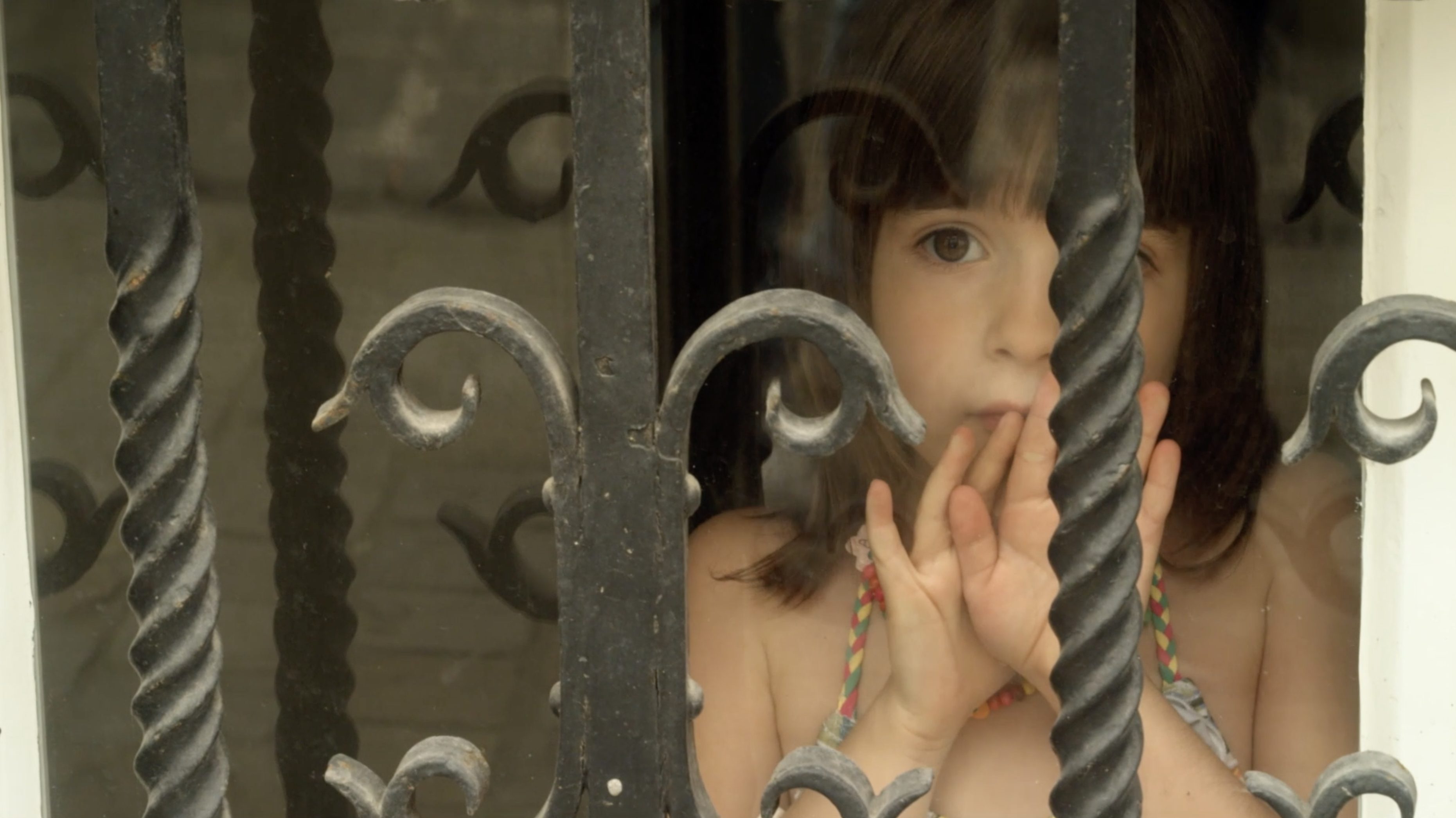 大象与蝴蝶剧照的剧照